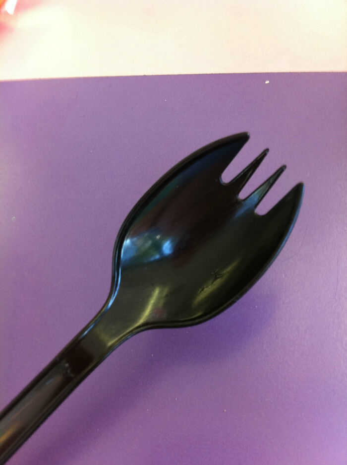 "The spork is the devil's utensil because it's the amalgamation of masculine fork and feminine spoon, trying to blur gender lines in society."