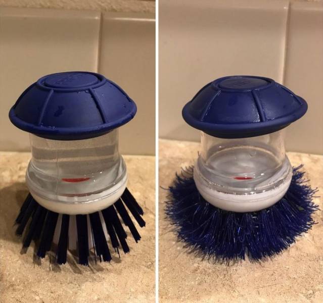 “My dish scrubber before and after 8 months of use”