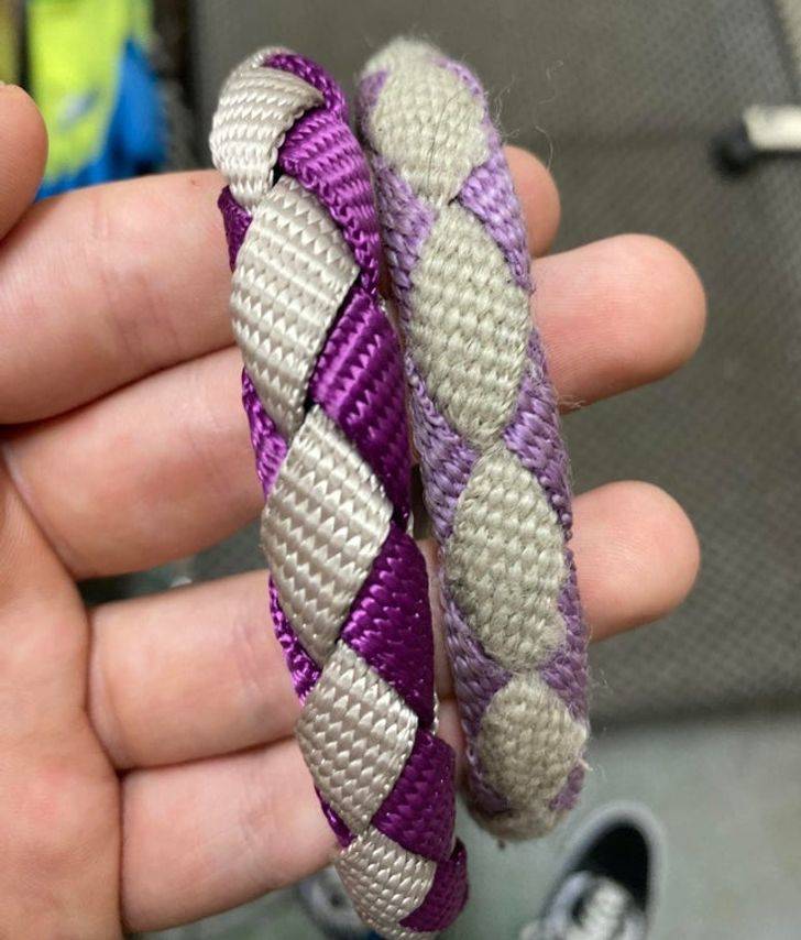 “My dog’s brand new collar vs a 5-year-old one”