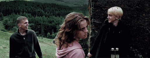 harry potter gifs hermione punches draco