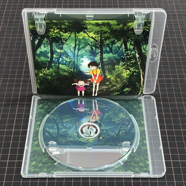 awesome designs -reflective disk in game case that looks like pond