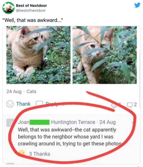 26 Crazy Things Found On The Nextdoor App.