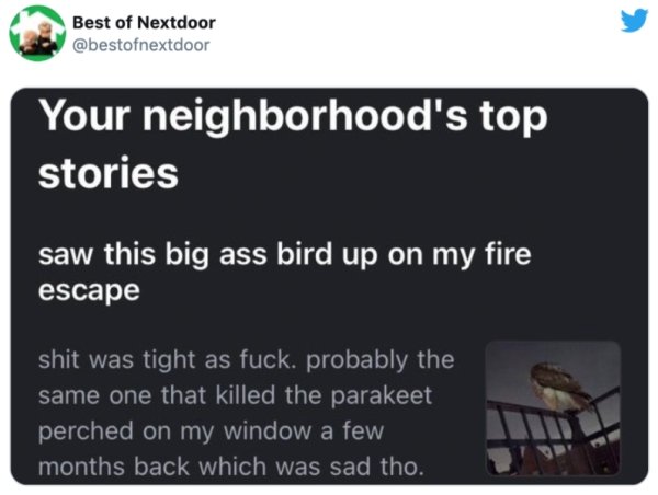 26 Crazy Things Found On The Nextdoor App.