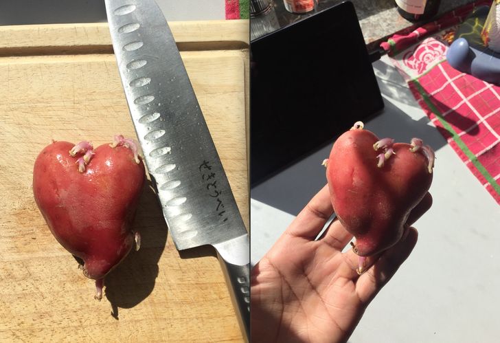 A potato shaped like a heart with arteries