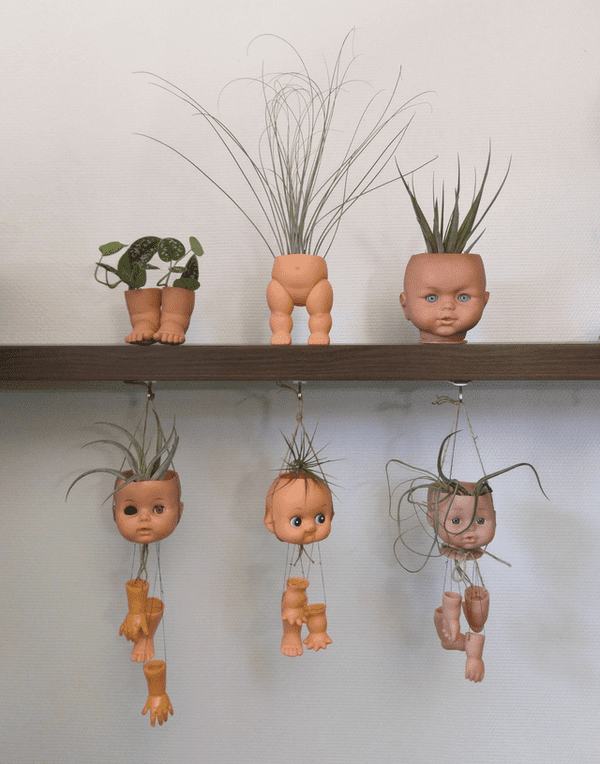 I’m becoming Sid from Toy Story and I’m embracing it. Planters I made from dolls for air plants, everyone.