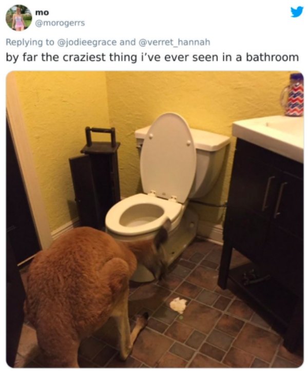 24 Weird Things Found In The Bathroom.