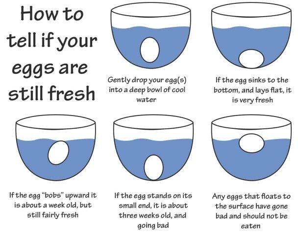 check if eggs are good - How to tell if your eggs are still fresh . 09 Gently drop your eggs into a deep bowl of cool water If the egg sinks to the bottom, and lays flat, it is very fresh If the egg "bobs" upward it is about a week old, but still fairly f