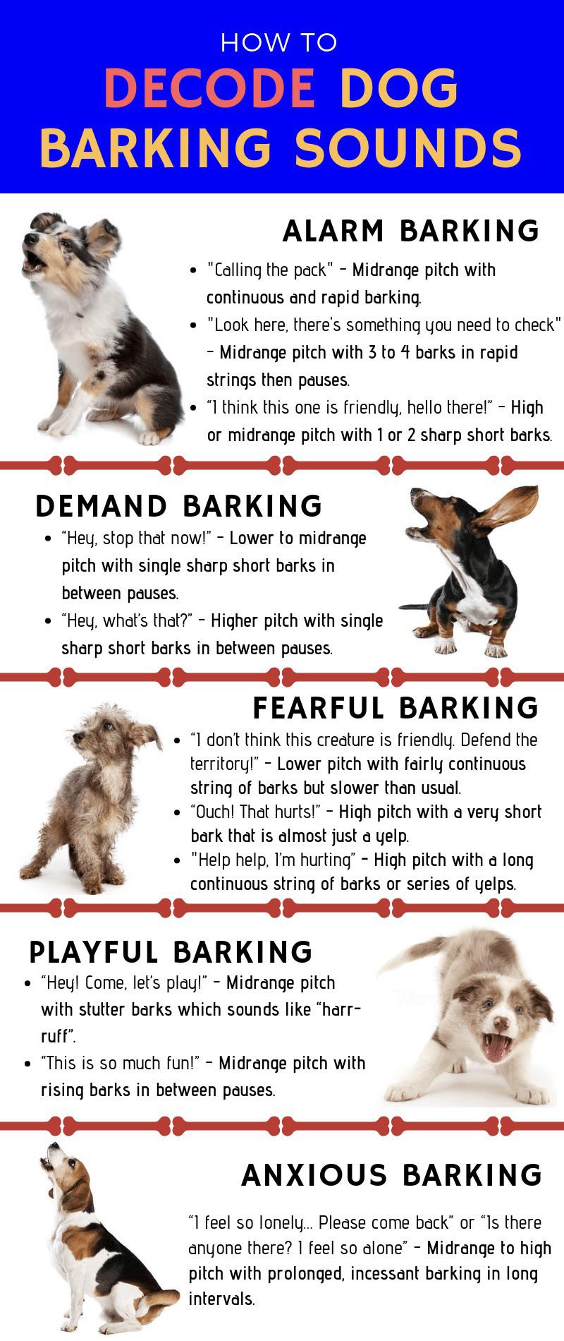 dog - How To Decode Dog Barking Sounds Alarm Barking "Calling the pack" Midrange pitch with continuous and rapid barking. "Look here, there's something you need to check" Midrange pitch with 3 to 4 barks in rapid strings then pauses. I think this one is…