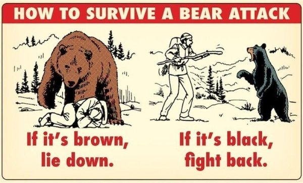 if it's brown lie down - How To Survive A Bear Attack with In If it's black, If it's brown, lie down. fight back.