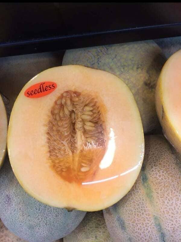 A seedless melon.