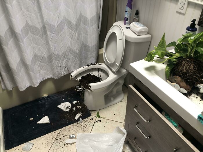 home repair fails - toilet crash - D.