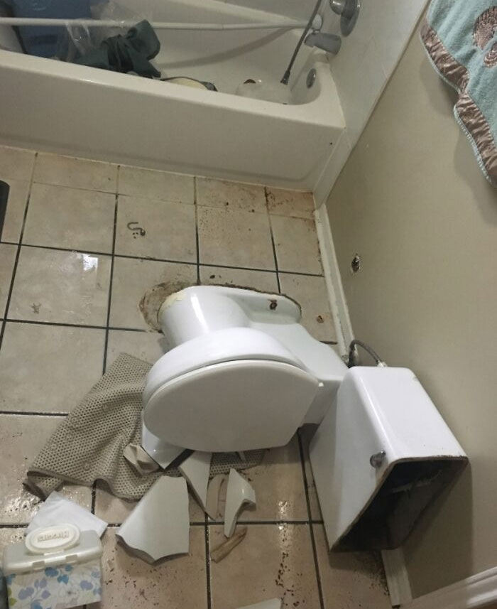 home repair fails - toilet seat