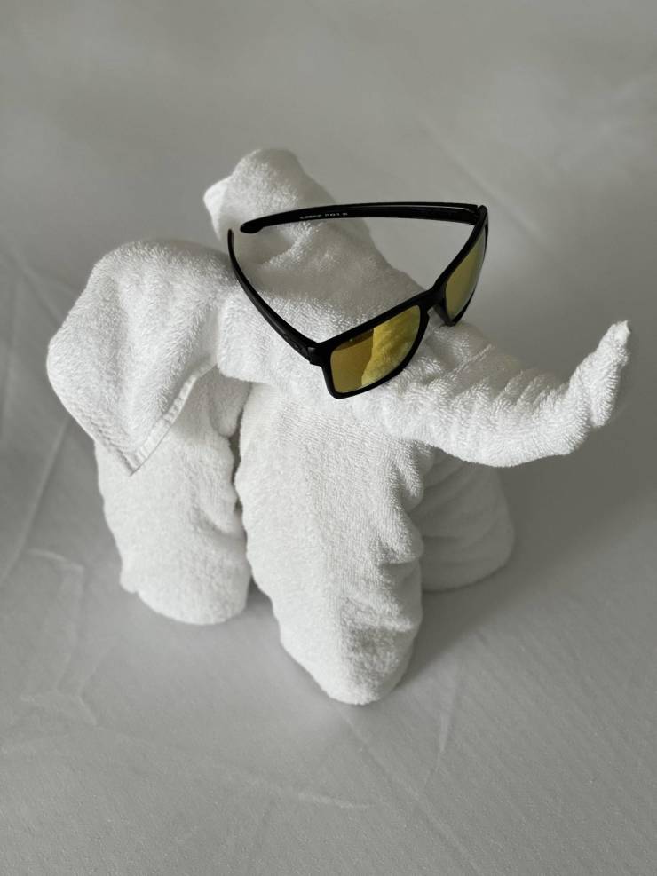 “Towelephant housekeeping made with my sunglasses I left in the room.”
