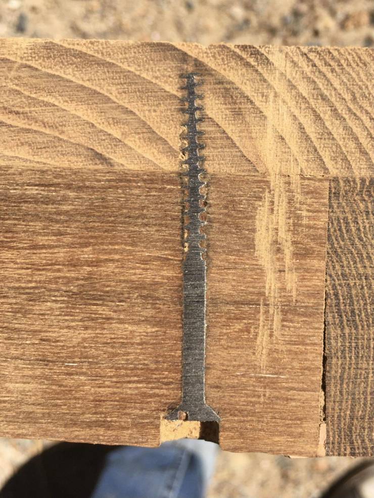 “Accidentally cross sectioned a screw in wood.”