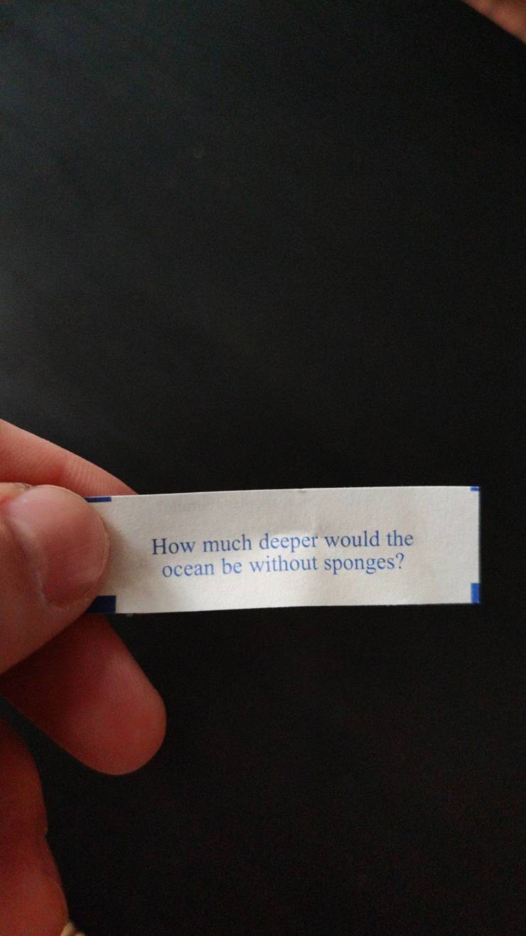 “My fortune cookie today sounds more like a showerthought.”