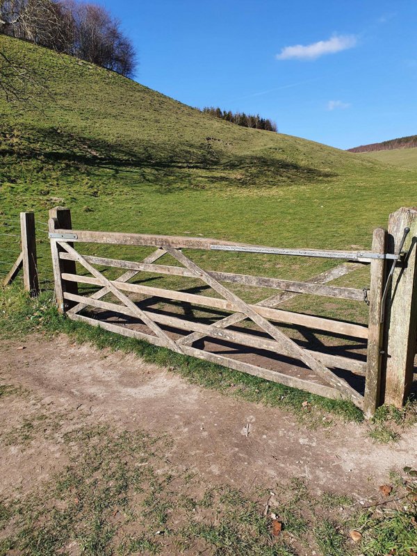 This gate is worn at the spot everyone uses to climb over once they realize it’s locked.