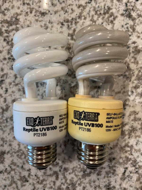 New vs. old light bulb used for reptile habitat.