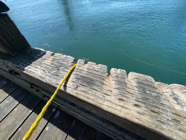 The railings of a pier in Newport, OR from people pulling up crab pots/rings. The whole thing looks like this on both sides.