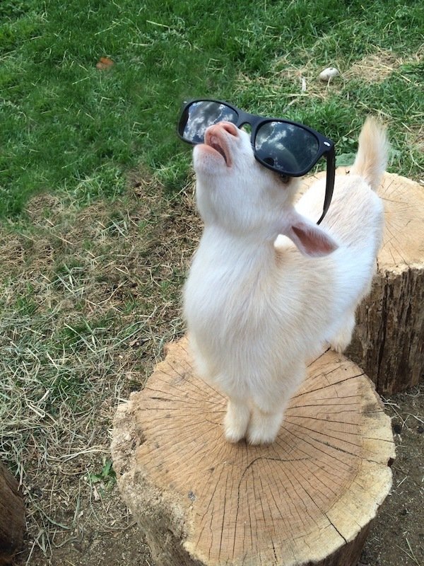 can t see the haters