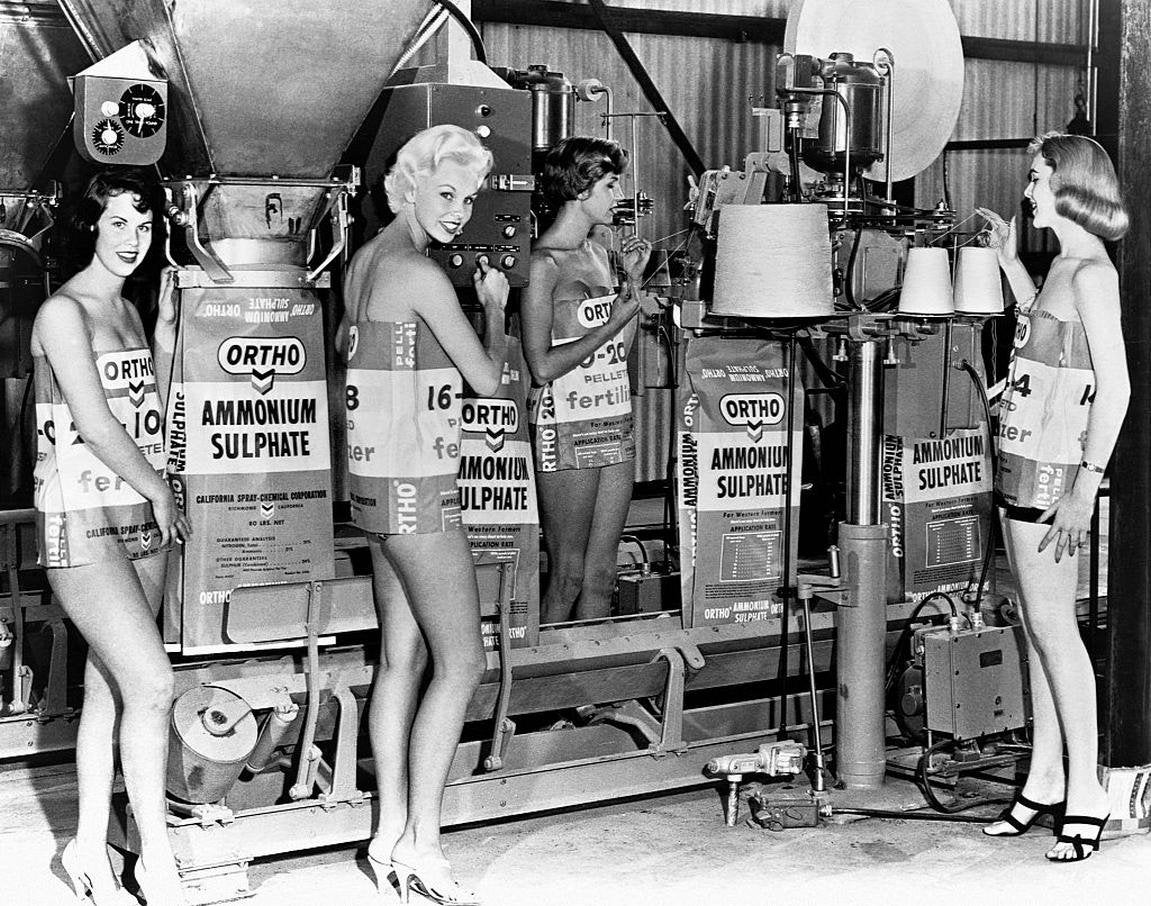 Female models wearing swimsuits and Ortho Ammonium Sulfate bags, posed next to bagging machines, 1956