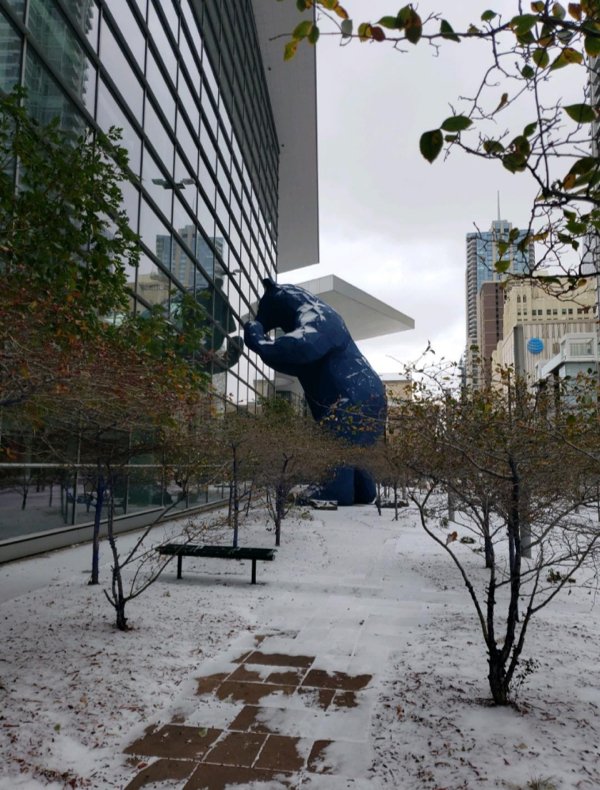 Denver, Colorado,

A 40-foot bear statue peeking into a building.