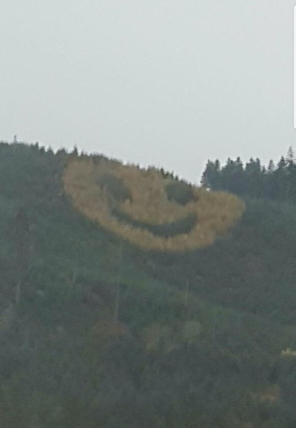 Oregon,

A mountainside smiley face made from flowers.