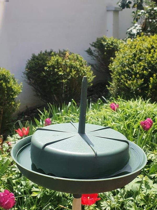 What is this green round object found in my grandparents garden. It is made out of plastic with a round plate and a separate cylinder on top of it and two straw like pipes both on top and bottom.

A: That’s a slug trap.