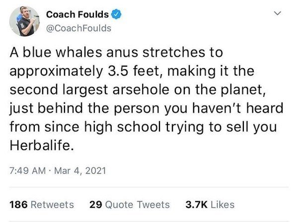 funny tweets - molecules are polymers - Coach Foulds Foulds A blue whales anus stretches to approximately 3.5 feet, making it the second largest arsehole on the planet, just behind the person you haven't heard from since high school trying to sell you Her