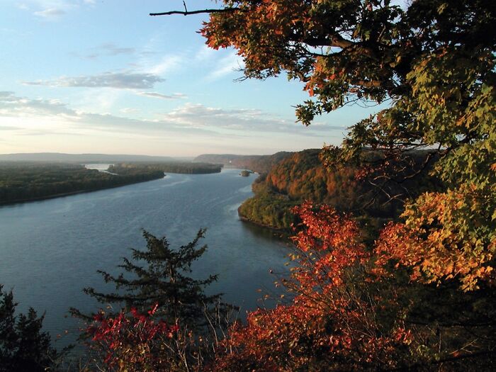 TIL that the Mississippi river was once five miles wide and whales swam up it from the gulf of Mexico. The remains of these whales have been found in Michigan