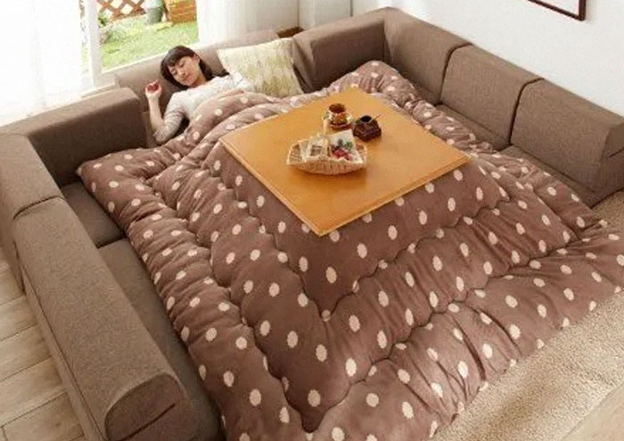 TIL of a "Kotatsu", A traditional japanese table with attached blanket. You can use it to relax, nap, eat/drink/hangout with friends and even has a built in heater underneath.