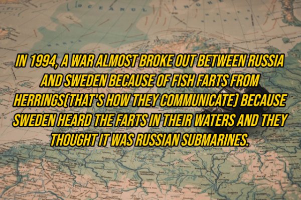 water resources - In 1994, A War Almost Broke Out Between Russia And Sweden Because Of Fish Farts From HerringsThat'S How They Communicate Because Sweden Heard The Farts In Their Waters And They Thought It Was Russian Submarines.
