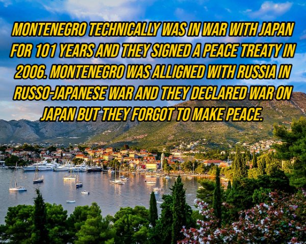 Montenegro Technically Was In War With Japan For 101 Years And They Signed A Peace Treaty In 2006. Montenegro Was Alligned With Russia In RussoJapanese War And They Declared War On Japan But They Forgot To Make Peace.