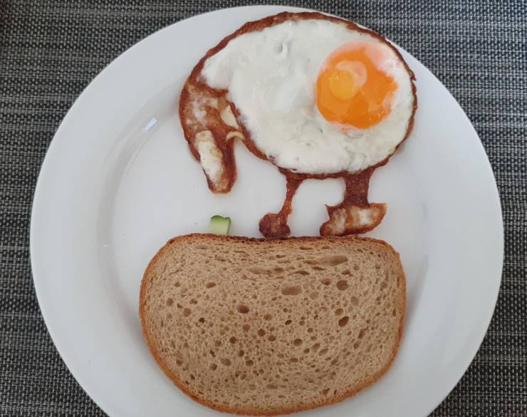 “My fried egg looked like a kiwi picking something off the ground.”