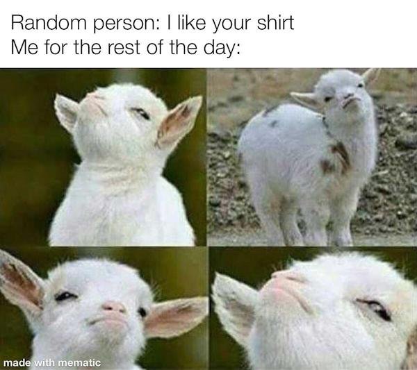 25 wholesome Memes.