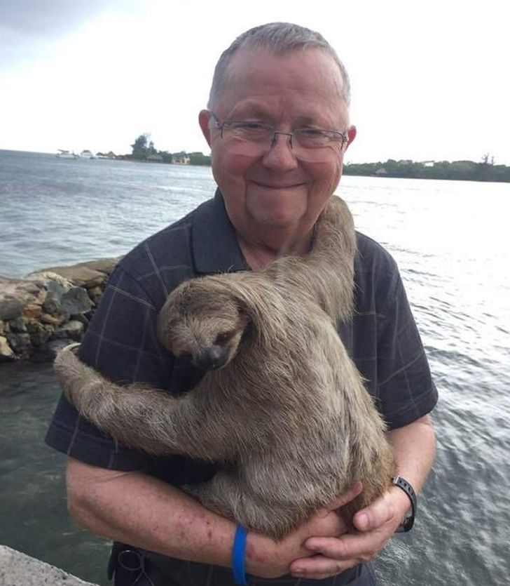 holding a sloth
