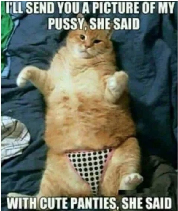 sexy memes - I'Ll Send You A Picture Of My Pussy, She Said With Cute Panties, She Said
