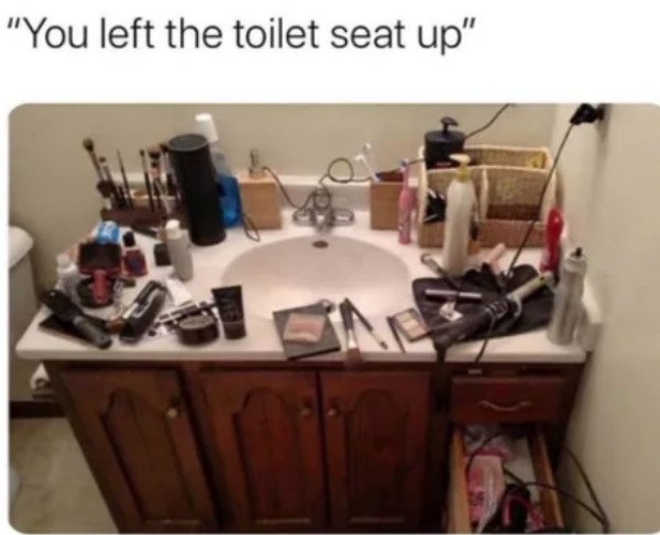 bathroom memes - "You left the toilet seat up"