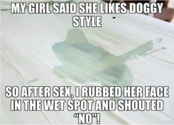 doggy sex meme - My Girl Said She Doggy Style So After Sex, Rubbed Her Face In The Wet Spot And Shouted "No!