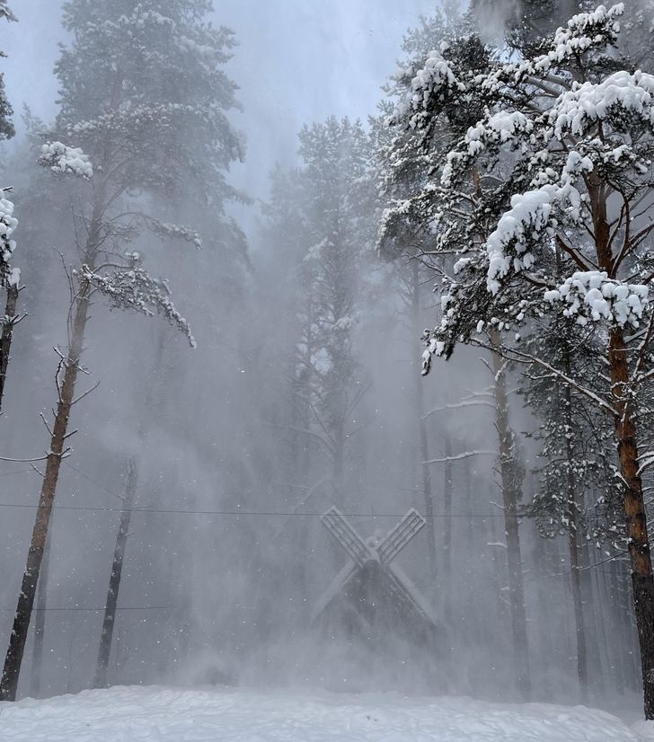 “My mother took a photo of snow falling from pines, concealing the view.”
