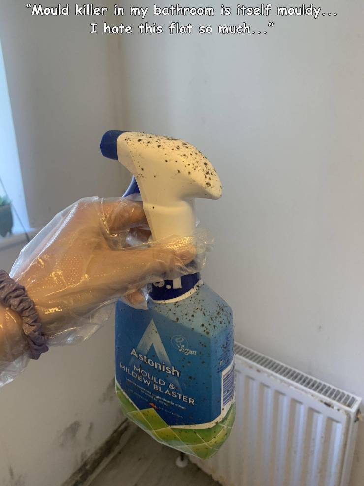 plastic bottle - "Mould killer in my bathroom is itself mouldy... I hate this flat so much..." Astonish Mildevold 8 Blaster