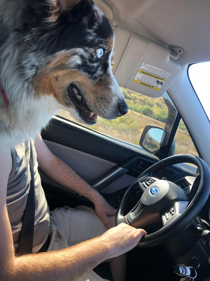 “My Uber driver seems a bit off.”