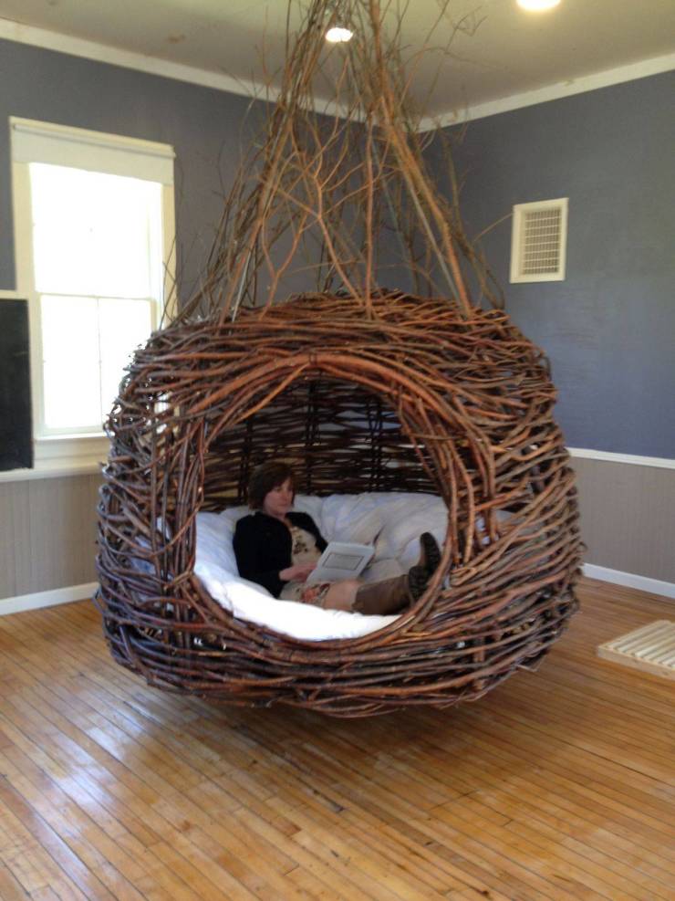 dreamweaver nest