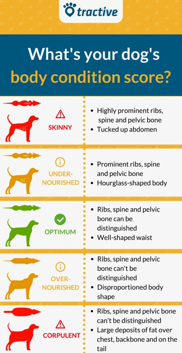 25 Charts Filled With Random Knowledge.