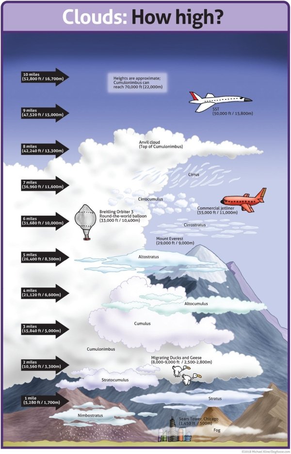 25 Charts Filled With Random Knowledge.