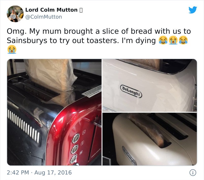 Mom Brought A Slice Of Bread To Try Out Toasters