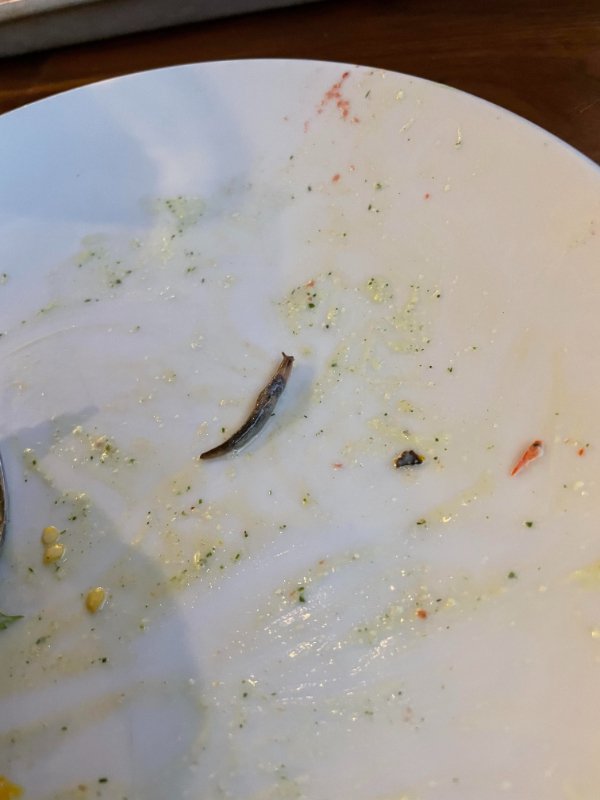 “My girlfriend found a slug in her salad after she ate the whole thing.”