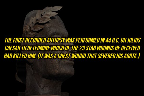 archaeological site - The First Recorded Autopsy Was Performed In 44 B.C. On Julius Caesar To Determine Which Of The 23 Stab Wounds He Received Had Killed Him. It Was A Chest Wound That Severed His Aorta.