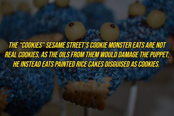 close up - The "Cookies" Sesame Street'S Cookie Monster Eats Are Not Real Cookies, As The Oils From Them Would Damage The Puppet, He Instead Eats Painted Rice Cakes Disguised As Cookies.