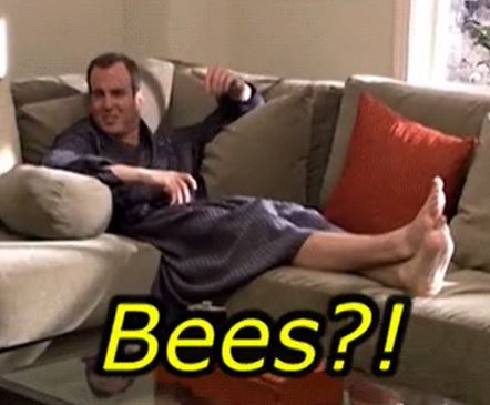 arrested development bees - Bees?!