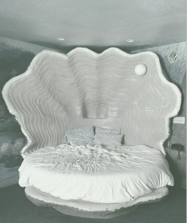 Clam shell bed!